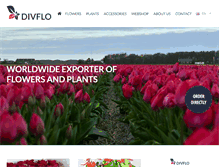 Tablet Screenshot of divflo.com